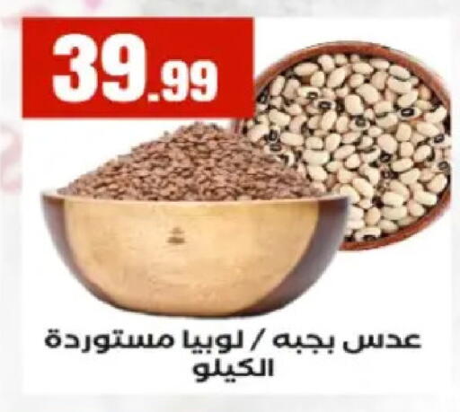 available at El Mahlawy Stores in Egypt - Cairo
