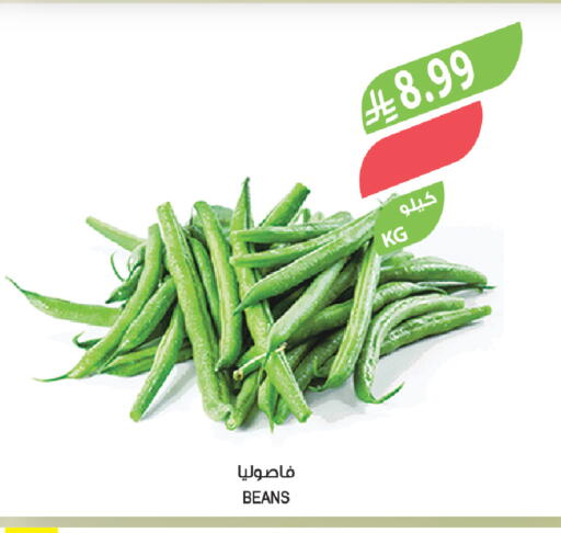 available at Farm  in KSA, Saudi Arabia, Saudi - Qatif