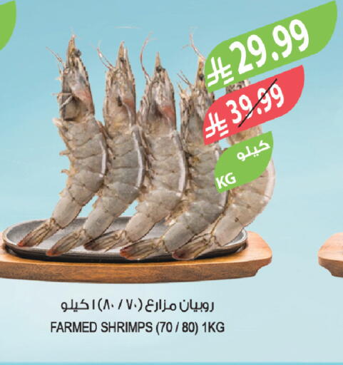 available at Farm  in KSA, Saudi Arabia, Saudi - Sakaka