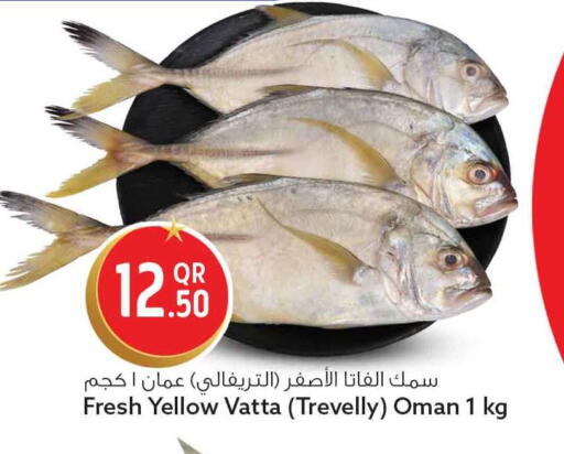 available at سفاري هايبر ماركت in قطر - الدوحة