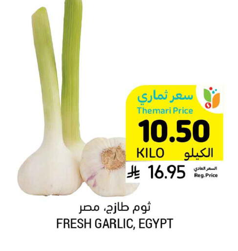 Garlic from Egypt available at أسواق التميمي in مملكة العربية السعودية, السعودية, سعودية - حفر الباطن