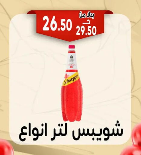 available at Bondok Market  in Egypt - Cairo