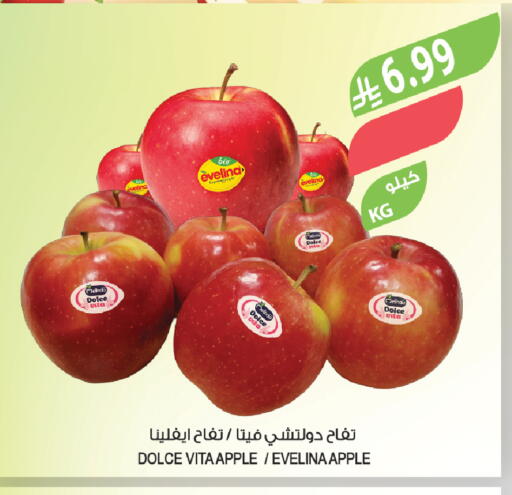 Apple available at المزرعة in مملكة العربية السعودية, السعودية, سعودية - عرعر