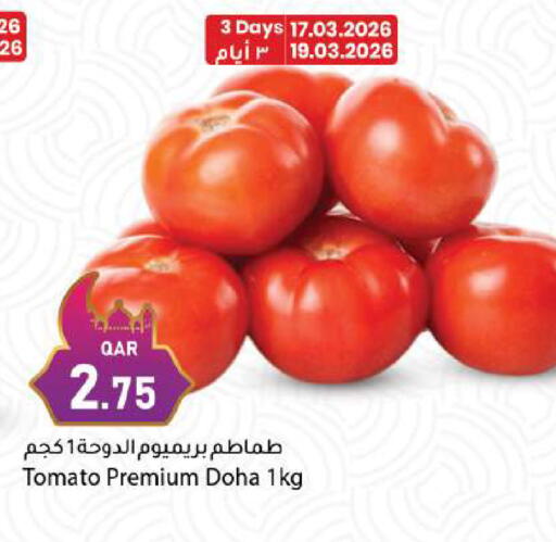 Tomato from Qatar available at دانا ماركت in قطر - الريان