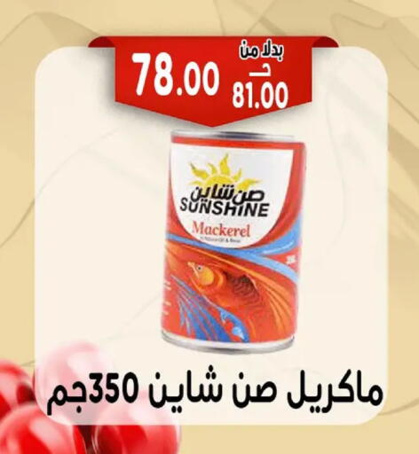 available at Bondok Market  in Egypt - Cairo