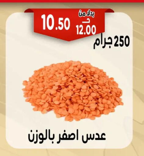 available at Bondok Market  in Egypt - Cairo