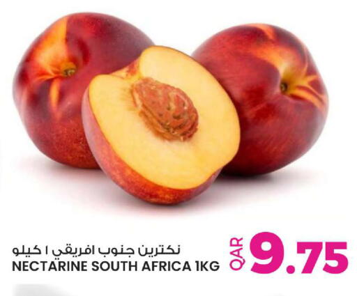 Nectarine from South Africa available at أنصار جاليري in قطر - أم صلال