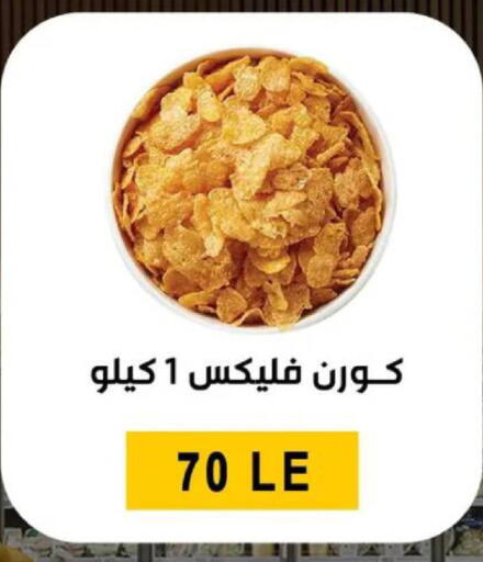 available at Ben Seleman in Egypt - Cairo