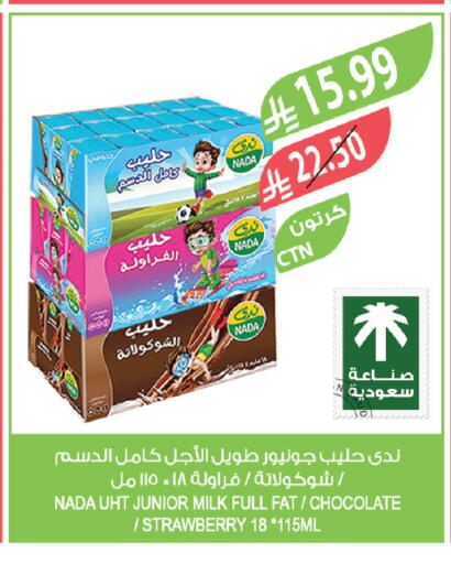 Strawberry available at Farm  in KSA, Saudi Arabia, Saudi - Sakaka