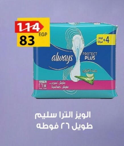 available at Fathalla Market  in Egypt - Cairo