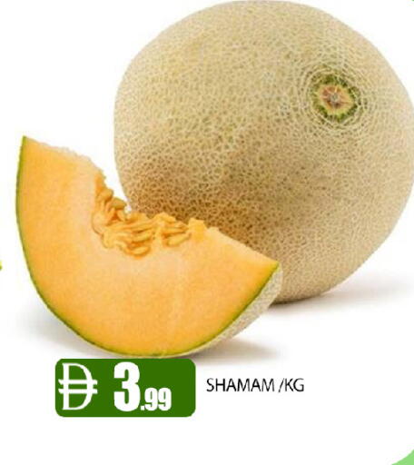 available at عين المدينة هايبرماركت in الإمارات العربية المتحدة , الامارات - الشارقة / عجمان