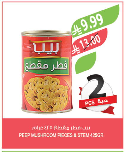 Mushroom available at Farm  in KSA, Saudi Arabia, Saudi - Qatif