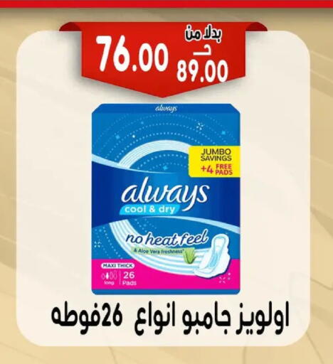 available at Bondok Market  in Egypt - Cairo