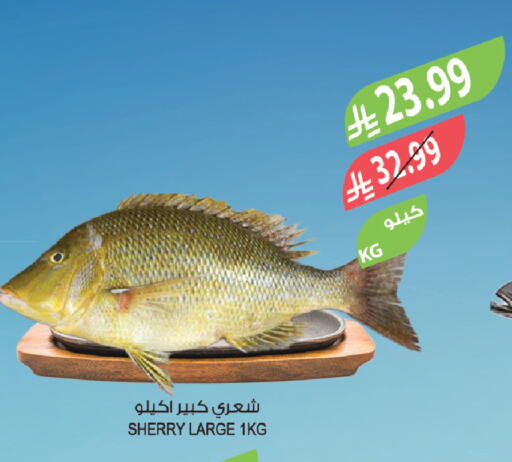 available at Farm  in KSA, Saudi Arabia, Saudi - Sakaka