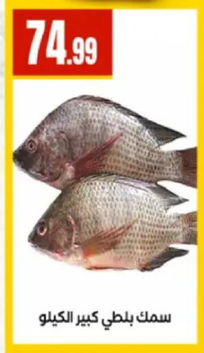 available at مارت فيل in Egypt - القاهرة