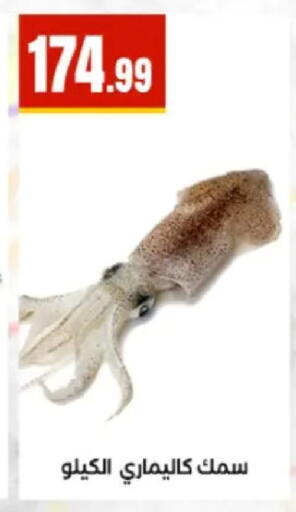 available at El Mahlawy Stores in Egypt - Cairo