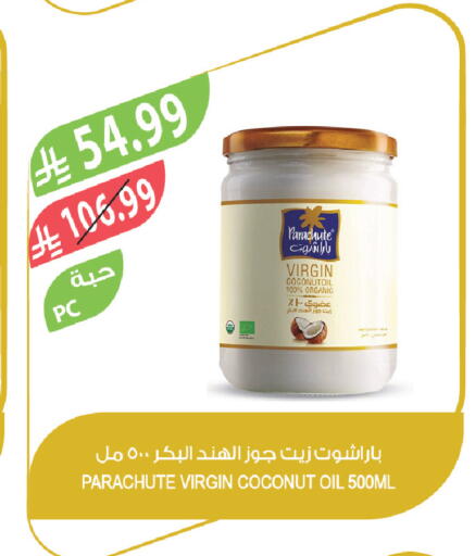 Coconut available at Farm  in KSA, Saudi Arabia, Saudi - Arar