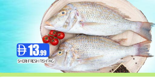 available at عين المدينة هايبرماركت in الإمارات العربية المتحدة , الامارات - الشارقة / عجمان