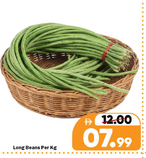 available at رويال جلف هايبرماركت in الإمارات العربية المتحدة , الامارات - ٱلْعَيْن‎