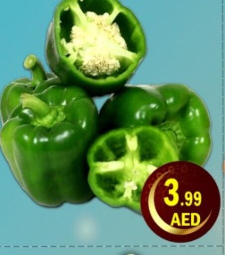 available at Green Gift Department Store in UAE - Dubai