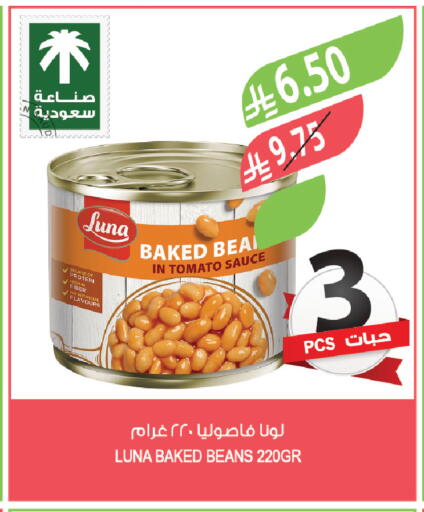 Tomato available at Farm  in KSA, Saudi Arabia, Saudi - Qatif