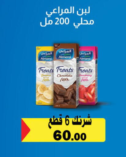 available at فتح الله in Egypt - القاهرة