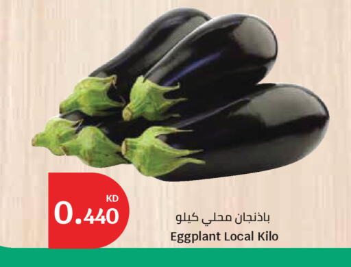Eggplant available at City Hypermarket in Kuwait - Ahmadi Governorate