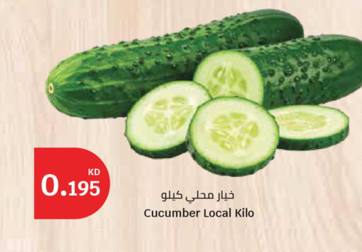 Cucumber available at City Hypermarket in Kuwait - Ahmadi Governorate