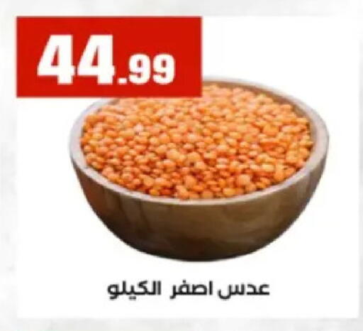 available at El Mahlawy Stores in Egypt - Cairo