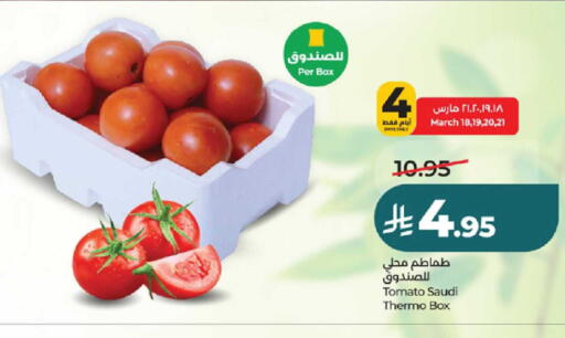 Tomato from Saudi Arabia available at لولو هايبرماركت in مملكة العربية السعودية, السعودية, سعودية - جدة