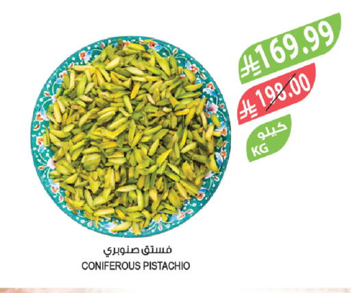 available at المزرعة in مملكة العربية السعودية, السعودية, سعودية - سكاكا