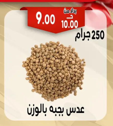available at Bondok Market  in Egypt - Cairo