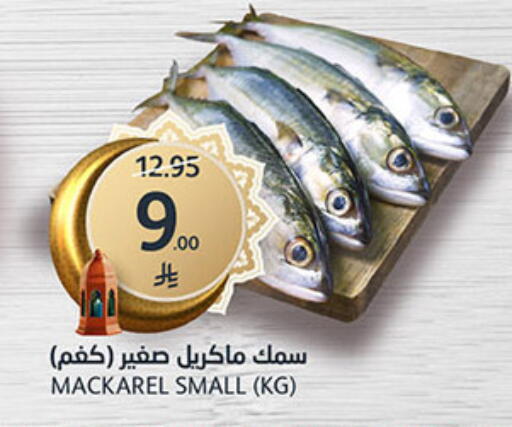 available at AlJazera Shopping Center in KSA, Saudi Arabia, Saudi - Riyadh