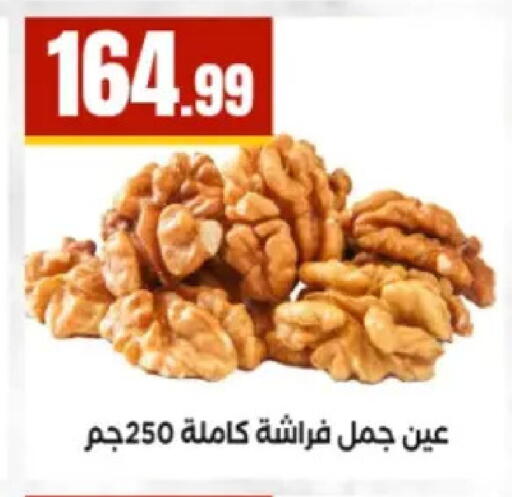 available at El Mahlawy Stores in Egypt - Cairo