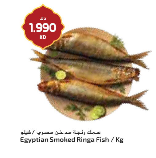 available at جراند كوستو in الكويت - مدينة الكويت