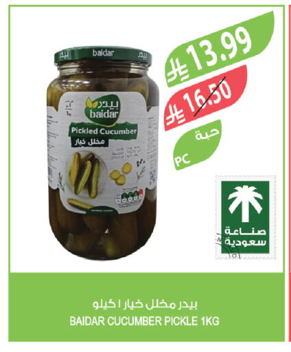 Cucumber available at المزرعة in مملكة العربية السعودية, السعودية, سعودية - الخبر‎