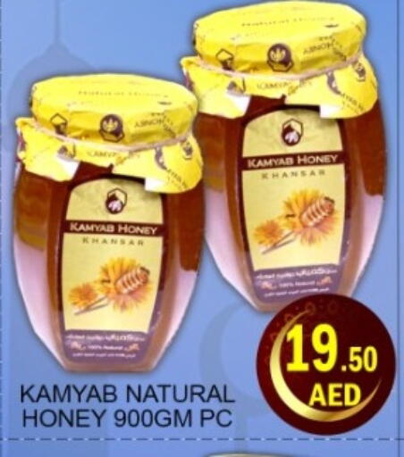 available at Green Gift Department Store in UAE - Dubai