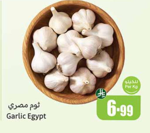 Garlic from Egypt available at أسواق عبد الله العثيم in مملكة العربية السعودية, السعودية, سعودية - حفر الباطن
