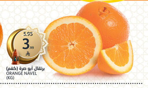 Orange available at AlJazera Shopping Center in KSA, Saudi Arabia, Saudi - Riyadh