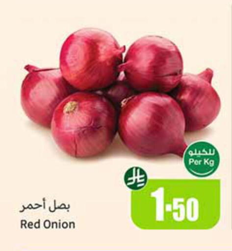 Onion available at Othaim Markets in KSA, Saudi Arabia, Saudi - Buraidah