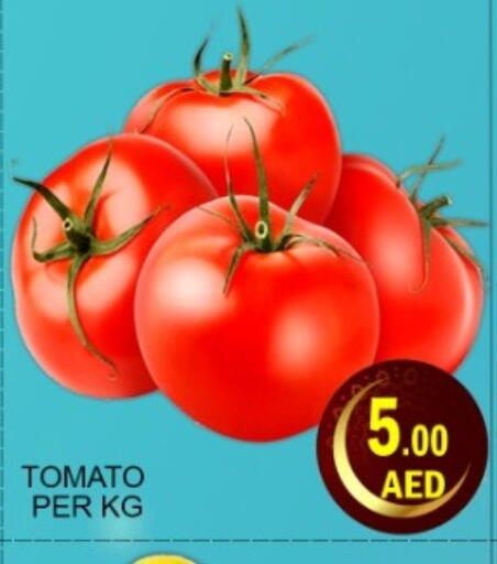 Tomato available at Green Gift Department Store in UAE - Dubai
