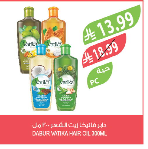 Coconut available at Farm  in KSA, Saudi Arabia, Saudi - Arar