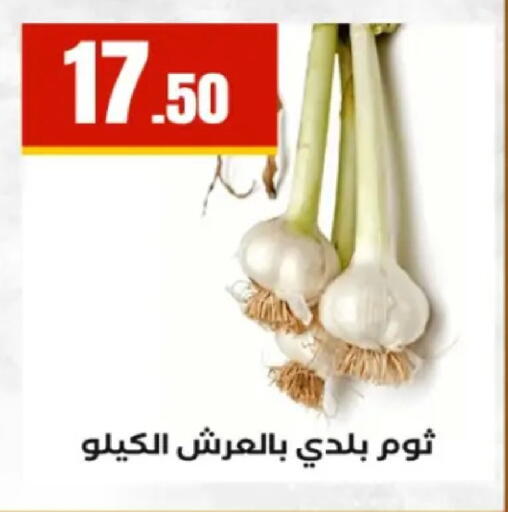 available at El Mahlawy Stores in Egypt - Cairo