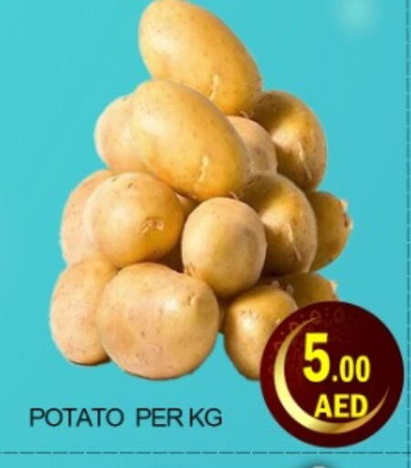Potato available at Green Gift Department Store in UAE - Dubai