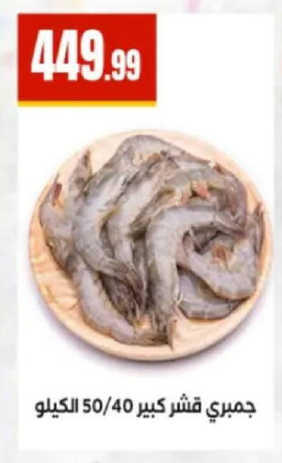 available at El Mahlawy Stores in Egypt - Cairo