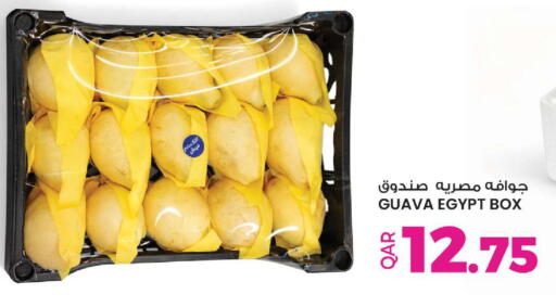 Guava from Egypt available at أنصار جاليري in قطر - أم صلال