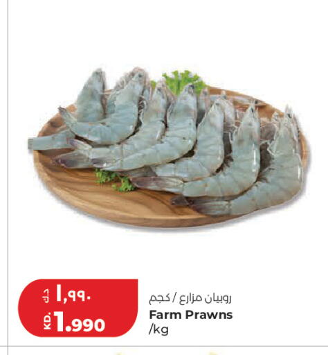 available at لولو هايبر ماركت in الكويت - مدينة الكويت