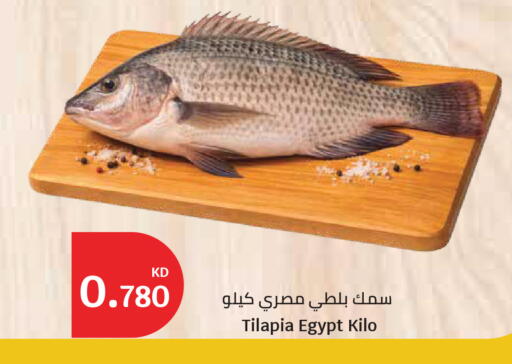 available at سيتي هايبرماركت in الكويت - مدينة الكويت