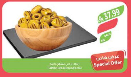 available at المزرعة in مملكة العربية السعودية, السعودية, سعودية - تبوك