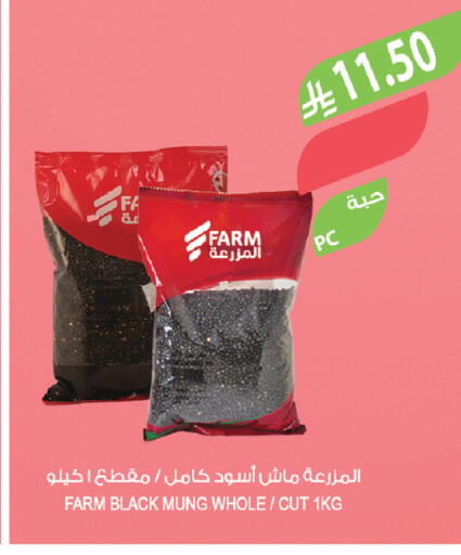 available at Farm  in KSA, Saudi Arabia, Saudi - Al-Kharj